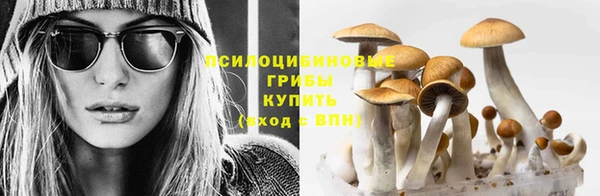 мет Лихославль