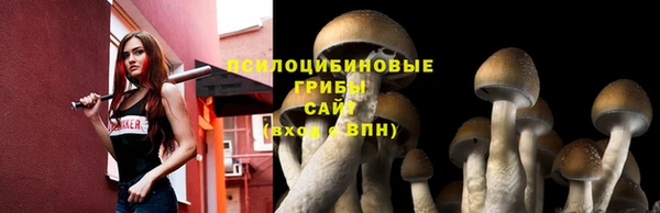 крисы Лагань