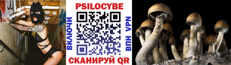 Псилоцибиновые грибы мухоморы  наркотики  Кимры 