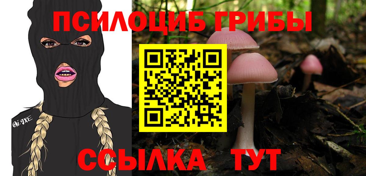 Псилоцибиновые грибы Magic Shrooms  где можно купить наркотик  Кимры  Галлюциногенные грибы Psilocybine cubensis 