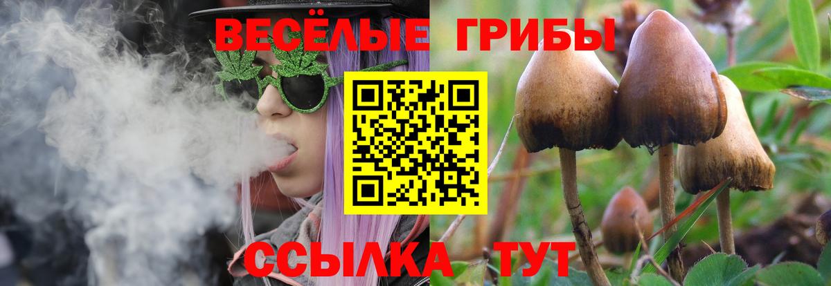 Галлюциногенные грибы Cubensis Кимры